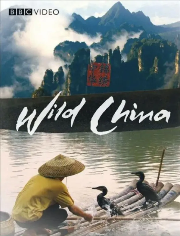 美丽中国（2008）