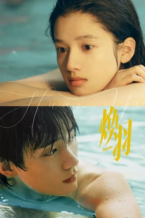 焕羽（2025）4K臻彩S01全