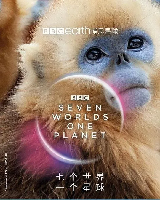 七个世界一个星球（2019）