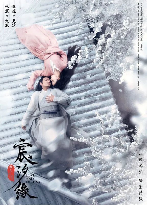 宸汐缘（2019）