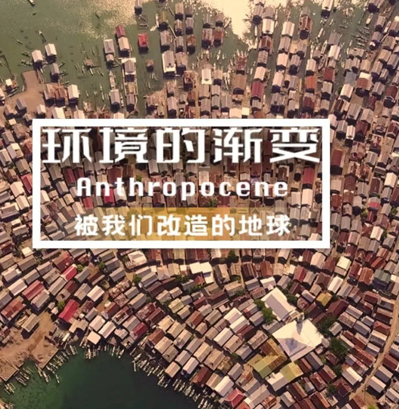 环境的渐变（2021）