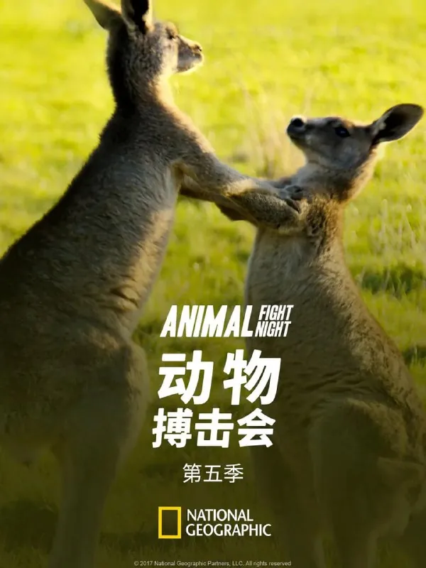 动物搏击会第五季（2017）