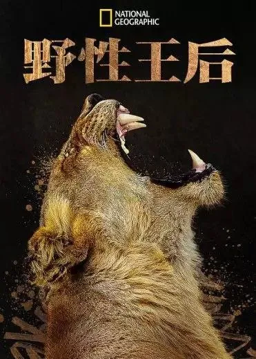 野性王后（2024）