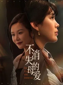 不消失的母爱（60集）