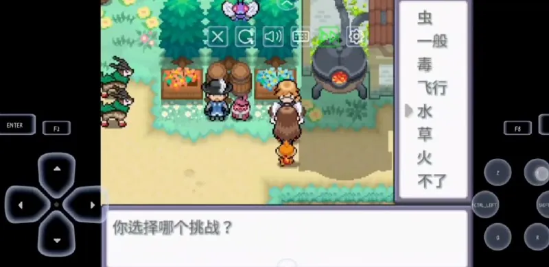 宝可梦：Zv1.05