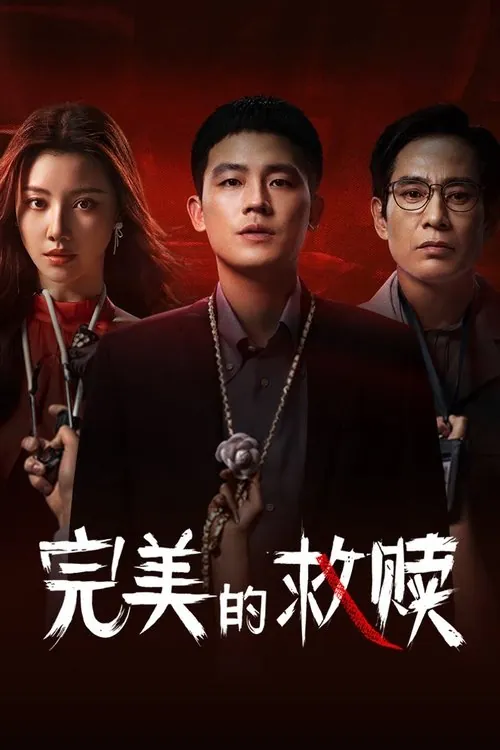 完美的救赎（2025） 百度网盘