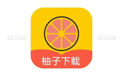 柚子下载_1.1.0_磁力种子不限速下载-边下边播.apk