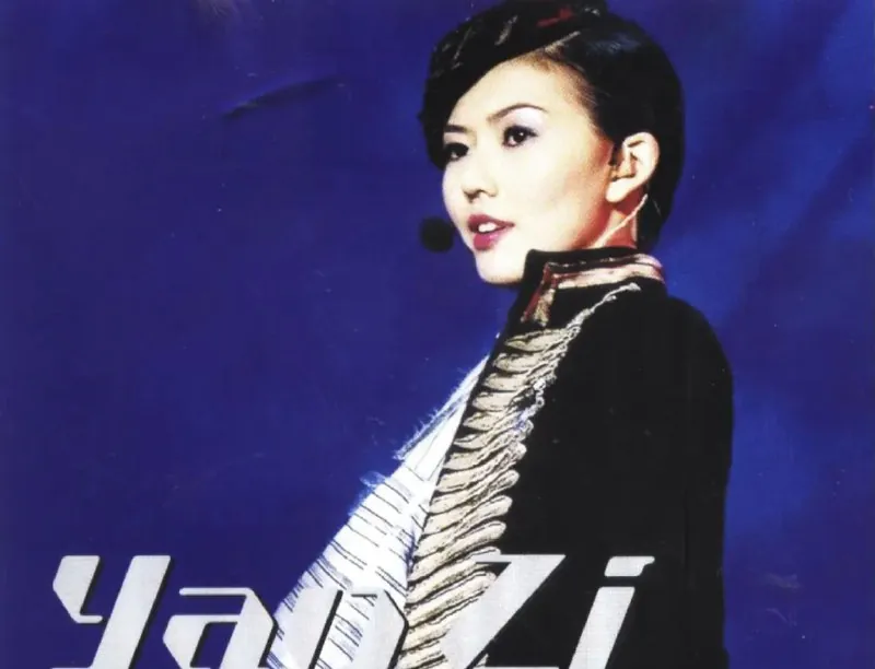 孙燕姿-2002年专辑-STARTYANZI世界巡回演唱会2CDwav