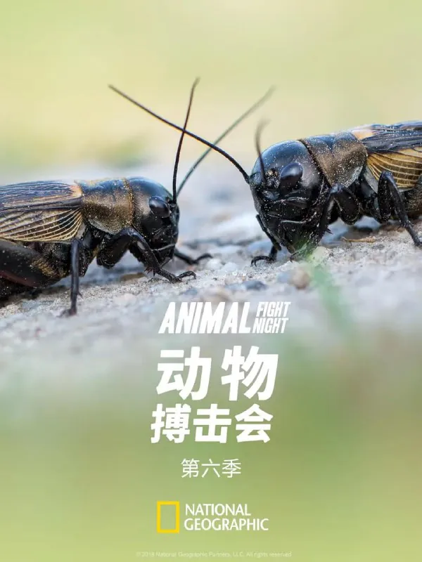 动物搏击会第六季（2018）
