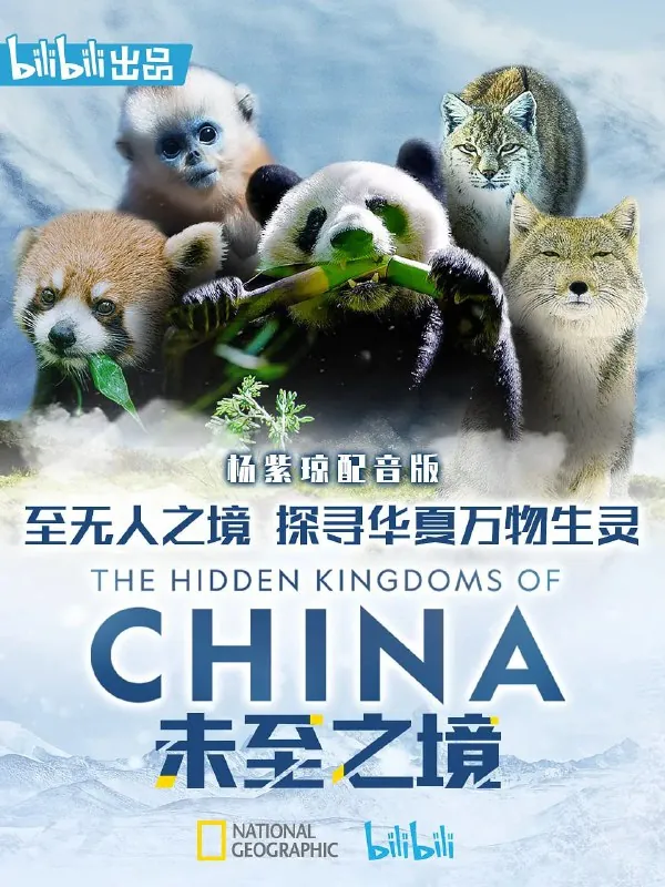 未至之境（2019）