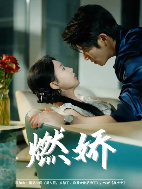 燃娇（81集） 百度网盘