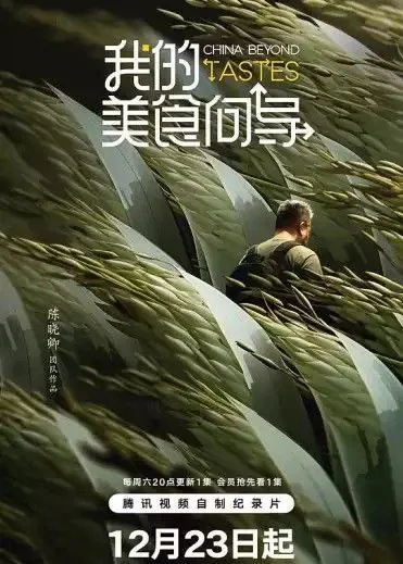 我的美食向导（2023）