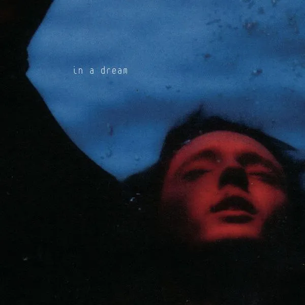 TroyeSivan-InADream（2020）FLAC24bit44kHz