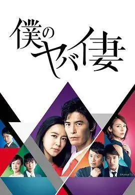 我的恐怖妻子（2016）