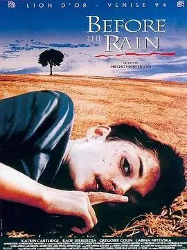 暴雨将至（1994）