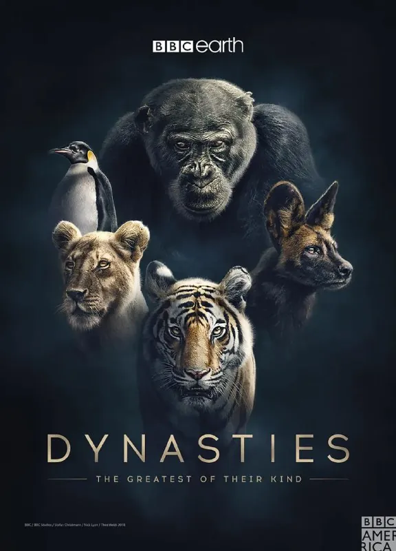 王朝第一季DynastiesSeason1（2018）