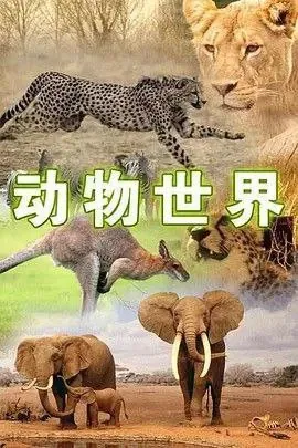 动物世界（1968）