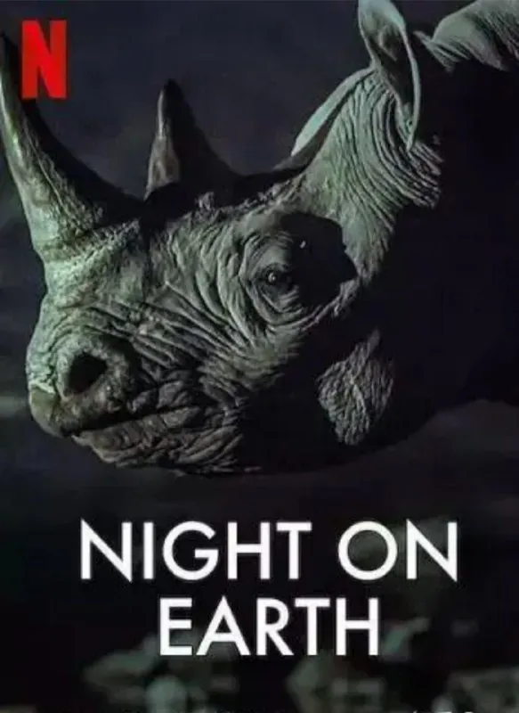 地球的夜晚（2020）