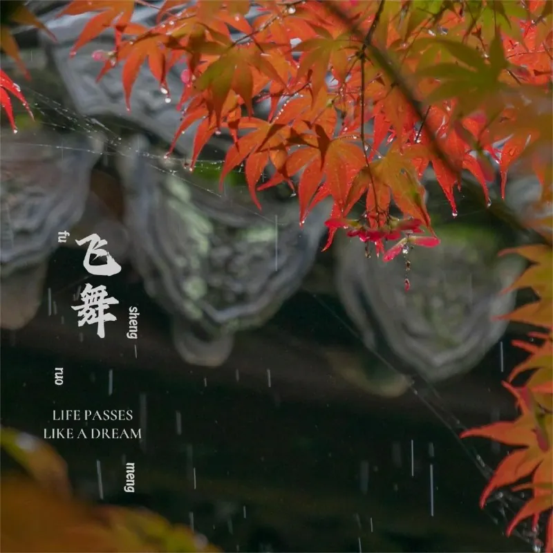 王冰洋飞舞2006FLAC