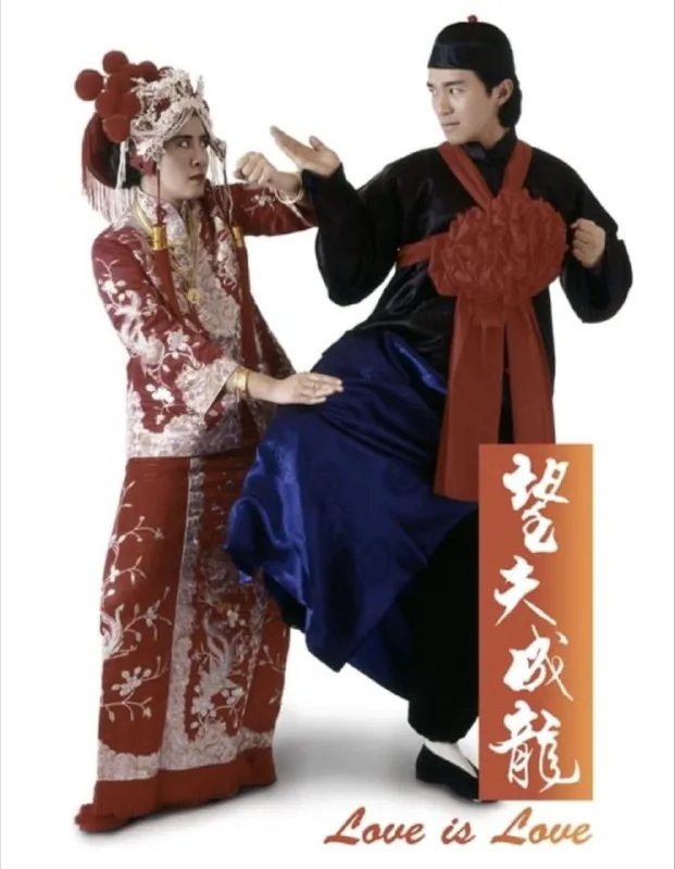 望夫成龙（1990）